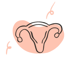Reproductive