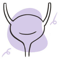 Bladder Health
